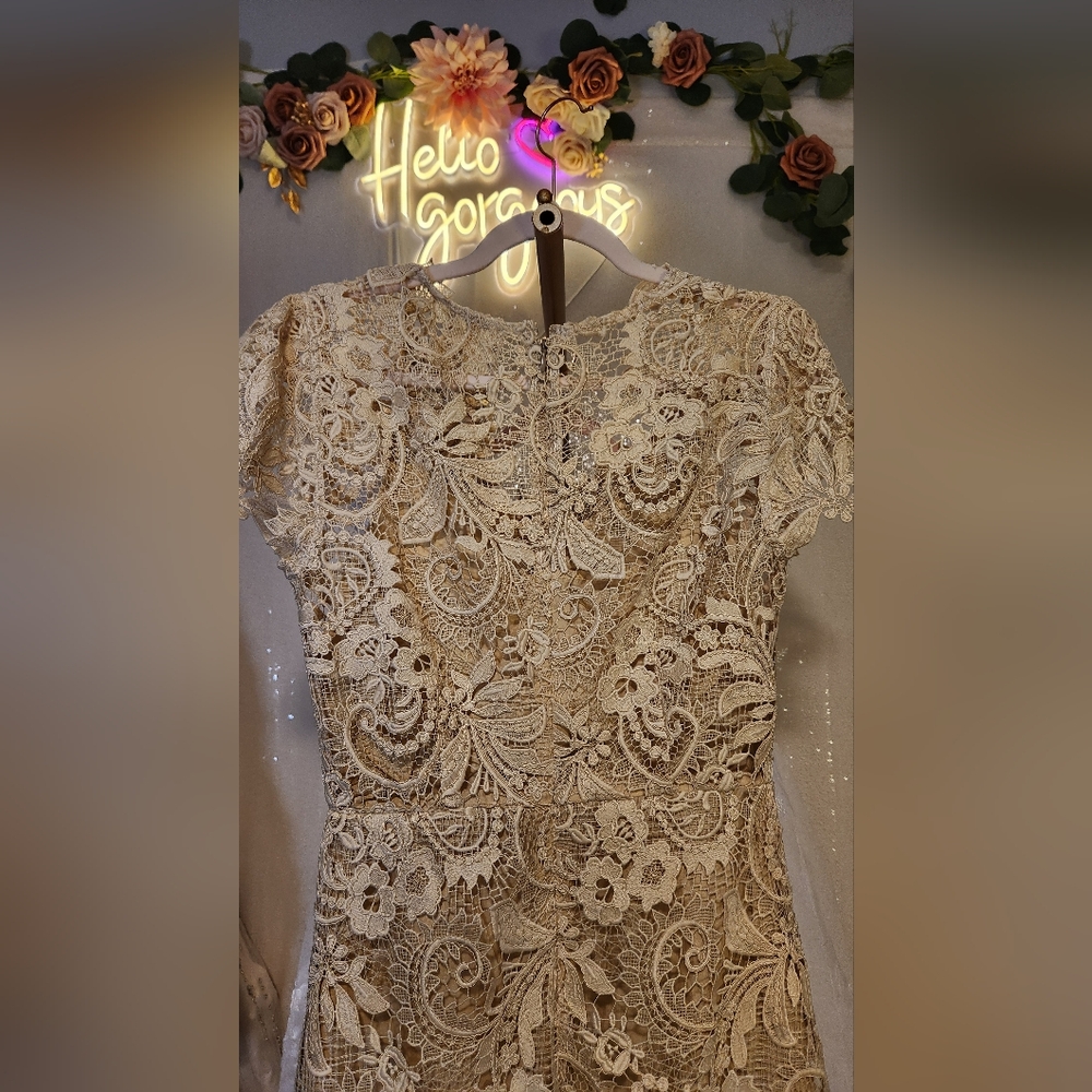 NWT Johnny Was Size 6 RARE Ivory Lace & Sequin Cocktail Midi Dress - Picture 6 of 11
